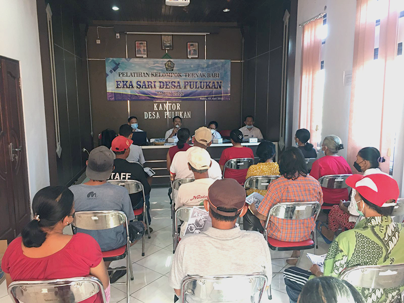 Pelatihan Kelompok Ternak Babi Eka Sari Desa Pulukan